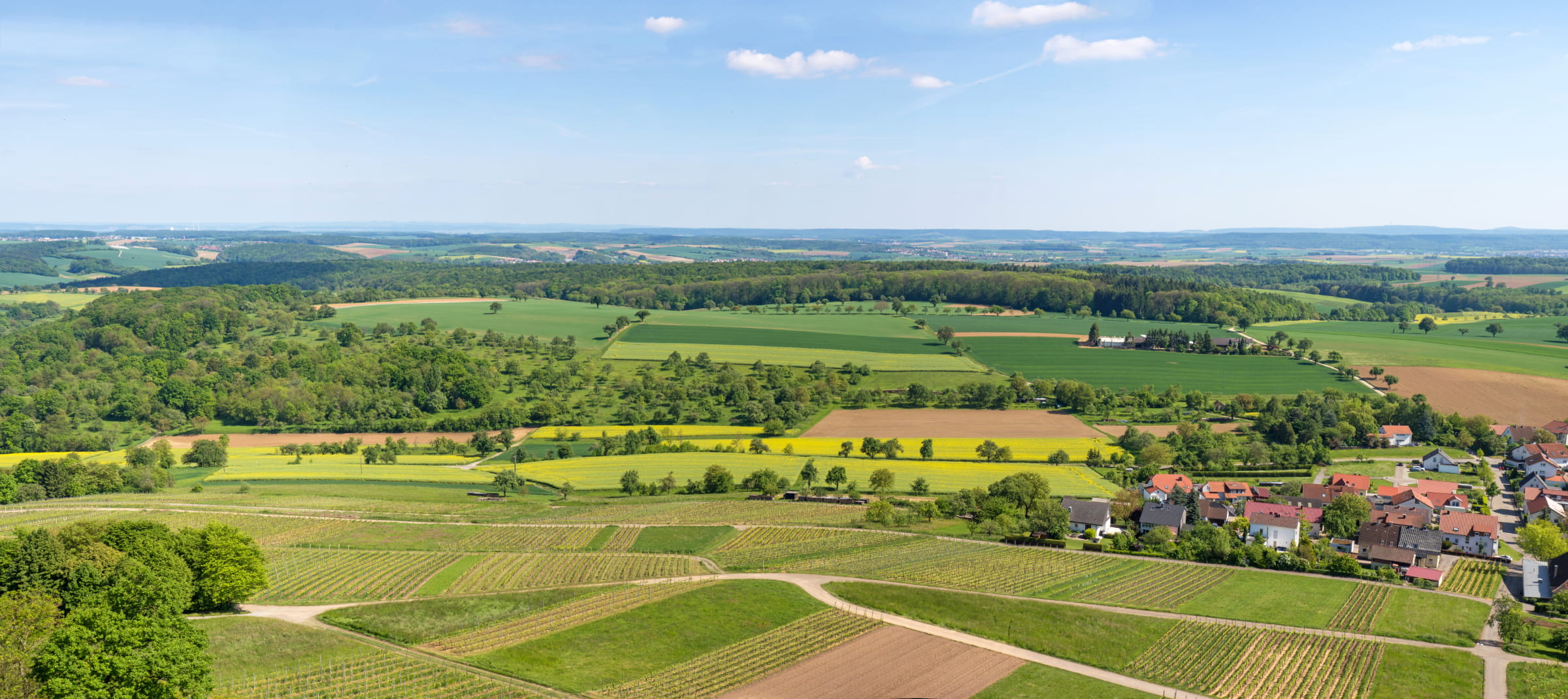Weitläufige Landschaft mit grünen Feldern, Weinbergen und einer Ortschaft in der Region Kraichgau